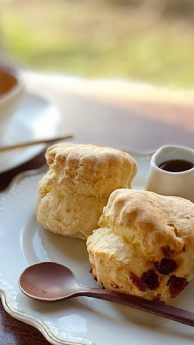 サロンドテクリハラ スコーン